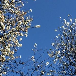 Meet your Posher, Cydney